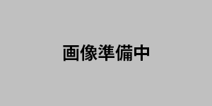 モナポルト湘南藤沢店